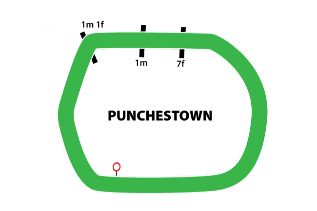 Punchestown course map