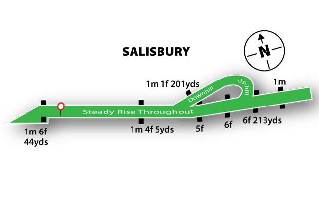 Salisbury course map