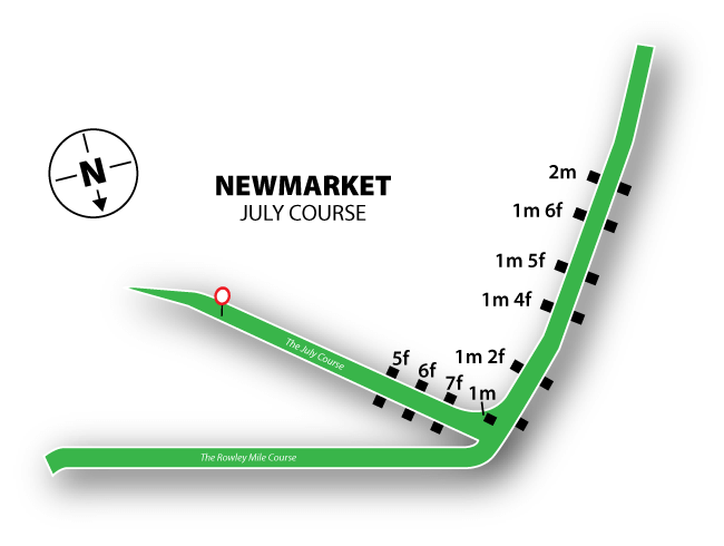 Newmarket (July) course map